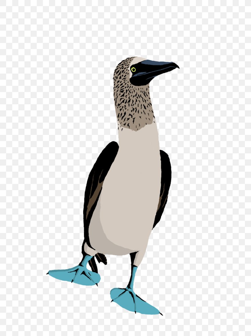 Blue-footed Booby Bird Drawing Red-footed Booby Penguin, PNG, 729x1096px, Bluefooted Booby, Animal, Beak, Bird, Booby Download Free