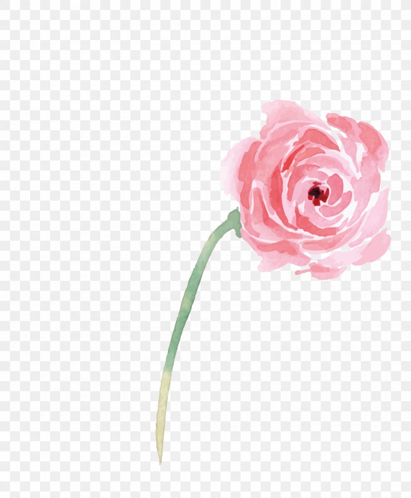 Garden Roses Beach Rose Illustration, PNG, 1948x2359px, Garden Roses, Art, Beach Rose, Cut Flowers, Flower Download Free