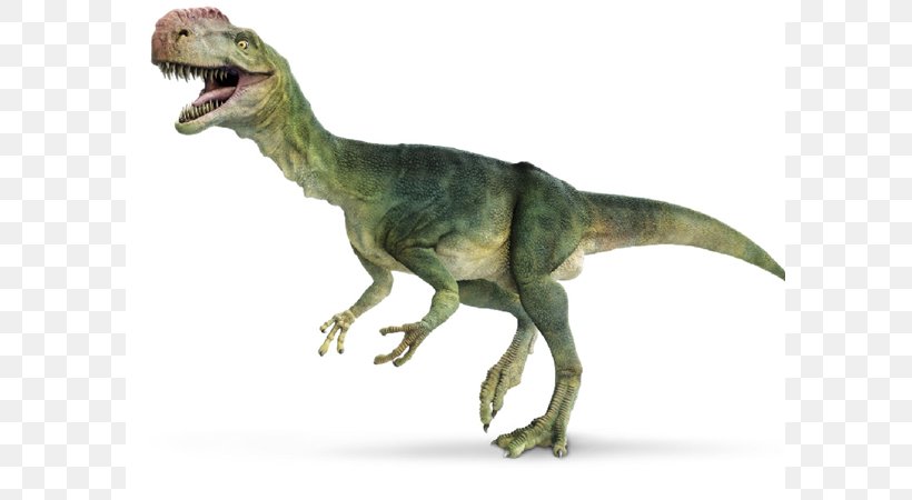 Dinosaur Iguanodon Monolophosaurus Tyrannosaurus Reptile, PNG, 800x450px, Dinosaur, Animal, Animal Figure, Brachiosaurus, Dilophosaurus Download Free