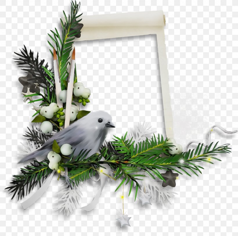 Feather, PNG, 1600x1588px, Christmas Frame, Bird, Branch, Christmas, Christmas Border Download Free