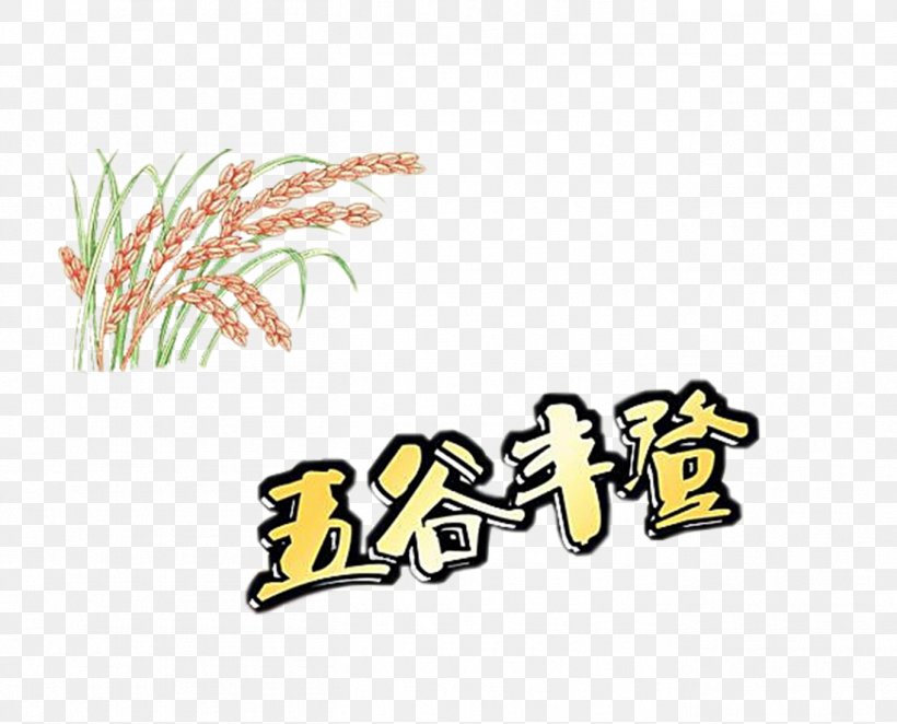 Harvest Rice Material, PNG, 1361x1100px, Harvest, Area, Brand, Five Grains, Grain Download Free