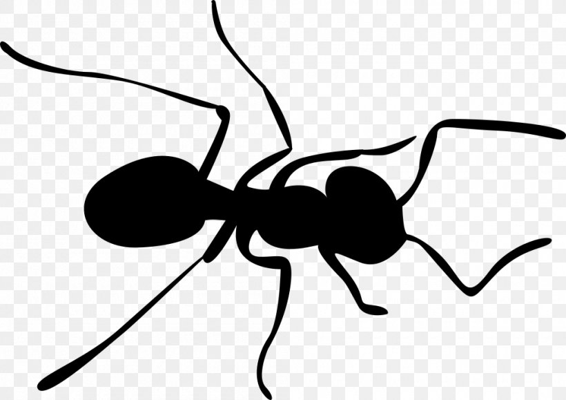 Ant Insect Silhouette Clip Art, PNG, 1000x707px, Ant, Art, Arthropod, Artwork, Black And White Download Free