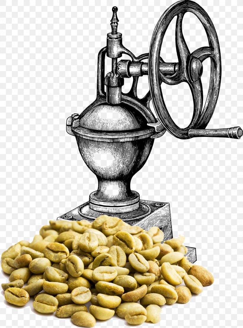 Coffee Bean Green Coffee Extract Kaffa Province Coffee Roasting, PNG, 1132x1529px, Coffee, Burr Mill, Caffeine, Chlorogenic Acid, Coffee Bean Download Free