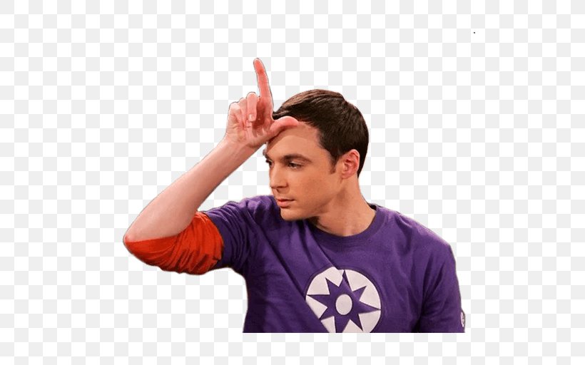 Jim Parsons Sheldon Cooper The Big Bang Theory Leonard Hofstadter Bernadette Rostenkowski, PNG, 512x512px, Jim Parsons, Actor, Arm, Bernadette Rostenkowski, Big Bang Theory Download Free