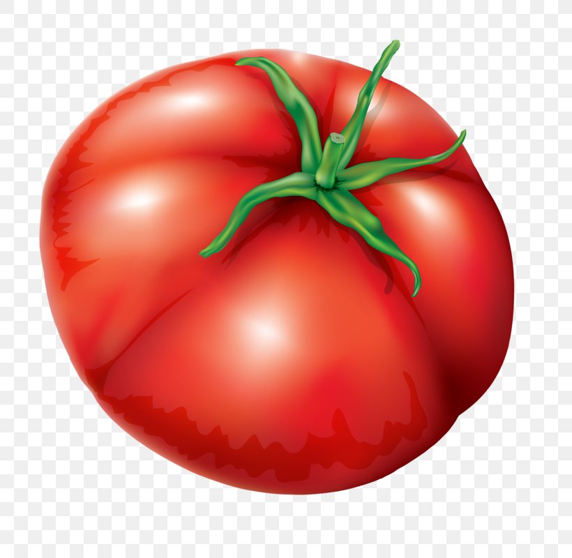 Plum Tomato Bush Tomato Tomato Soup, PNG, 740x800px, Plum Tomato, Apple, Bush Tomato, Diet Food, Drawing Download Free