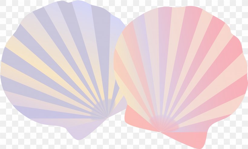 Seashell Illustration Photography Image, PNG, 3840x2317px, Seashell, Art, Beach, Copyright, Copyrightfree Download Free