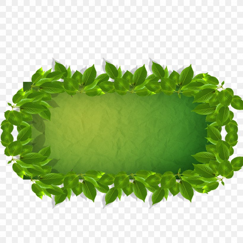 Adobe Illustrator, PNG, 900x900px, Computer Graphics, Grass, Green, Leaf, Leaf Vegetable Download Free