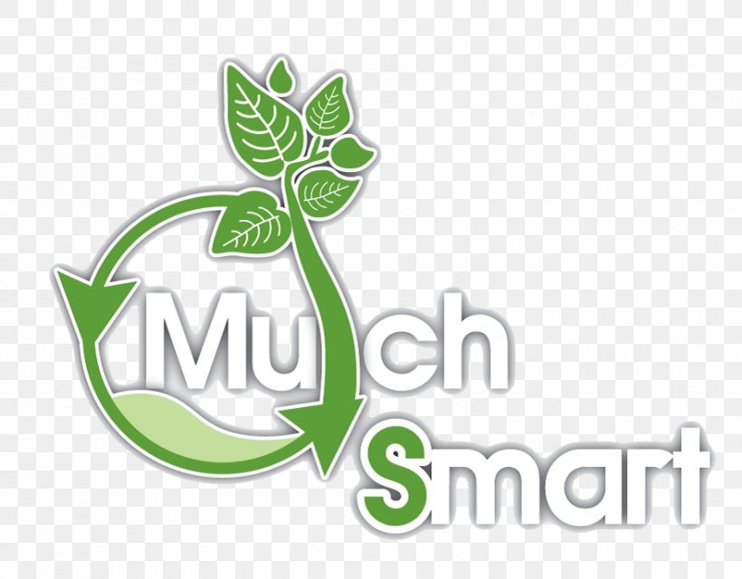 Logo Leaf Brand Flowering Plant Font, PNG, 880x687px, Logo, Brand, Flowering Plant, Green, Leaf Download Free