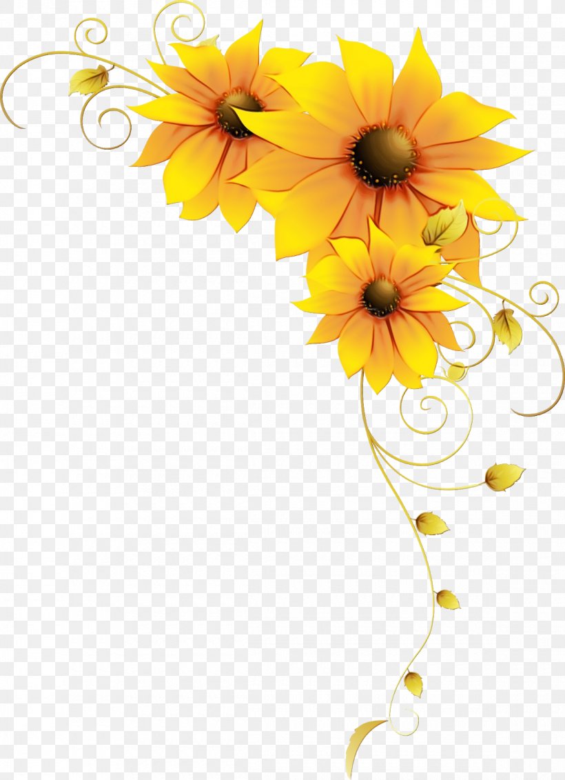 Sunflower, PNG, 1160x1600px, Watercolor, Cut Flowers, Flower, Gerbera, Orange Download Free