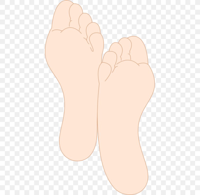 Thumb Foot Toe Sole, PNG, 451x800px, Watercolor, Cartoon, Flower, Frame, Heart Download Free