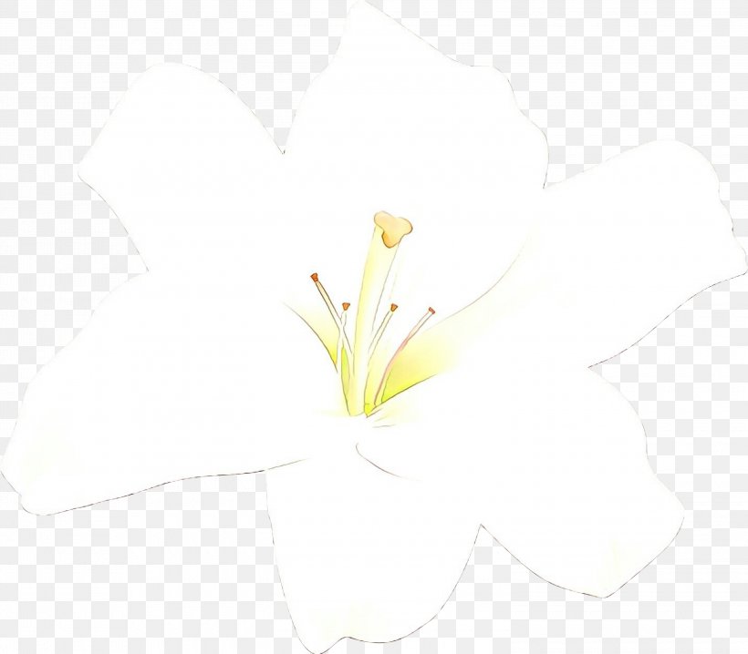 Desktop Wallpaper Flowering Plant Computer Plant Stem Branching, PNG, 3000x2627px, Flowering Plant, Alismatales, Amaryllis Belladonna, Arum Family, Botany Download Free