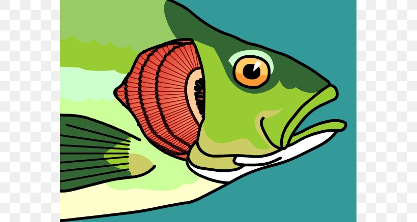 Fish Gill Clip Art, PNG, 583x438px, Fish Gill, Amphibian, Art, Beak, Bird Download Free
