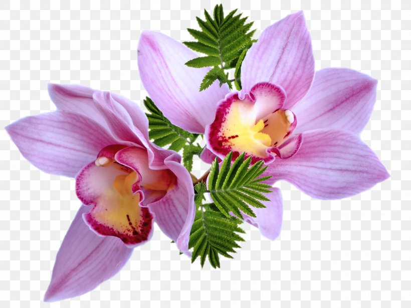 Flower Bouquet Clip Art, PNG, 2500x1875px, Flower, Alstroemeriaceae, Animation, Birthday, Cattleya Download Free