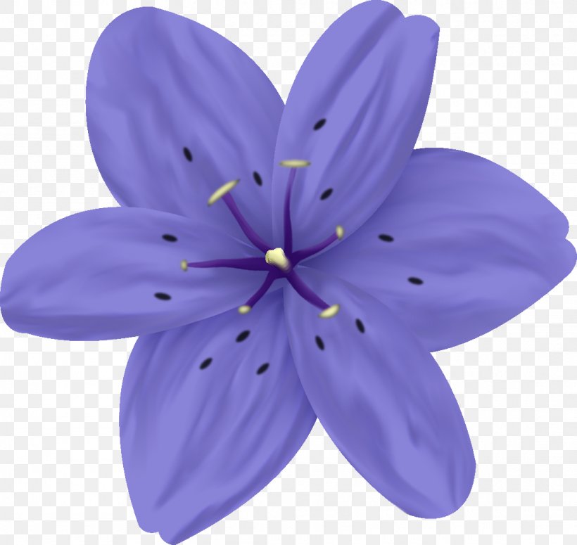Lavender Lilac Violet Purple Flower, PNG, 1115x1055px, Lavender, Flower, Lilac, Petal, Plant Download Free