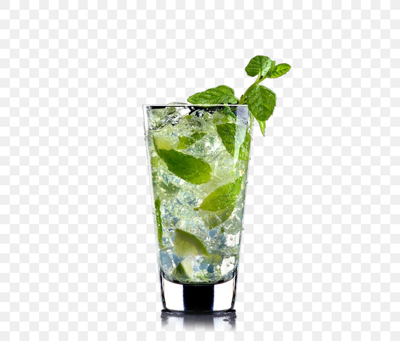 Mojito Lime Vodka Tonic Sea Breeze Gin And Tonic, PNG, 460x700px, Mojito, Alcoholic Drink, Cocktail, Cocktail Garnish, Drink Download Free