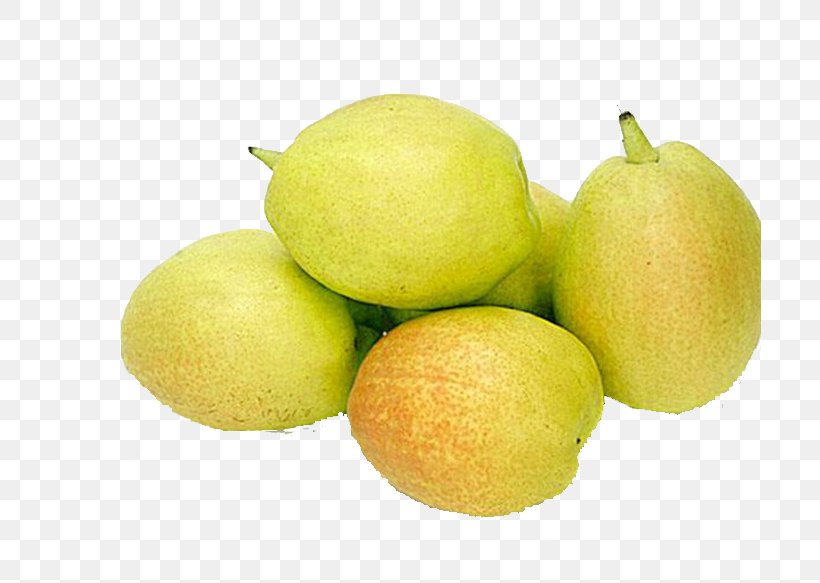 Pyrus Nivalis Lime Fruit Lemon, PNG, 703x583px, Pyrus Nivalis, Apple, Auglis, Citric Acid, Citron Download Free