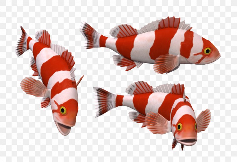 Red & White Fish Goldfish Koi Marine Biology, PNG, 1082x738px, Fish, Animal, Aquarium, Aquatic Animal, Deviantart Download Free