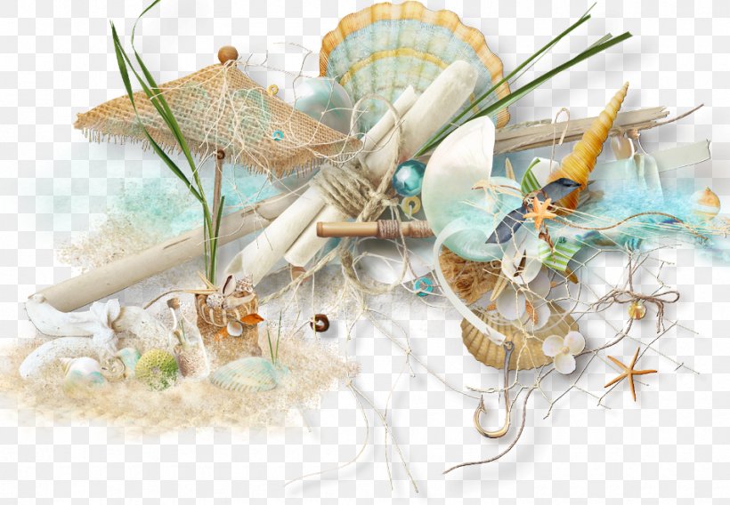 Sea Photography Clip Art, PNG, 950x659px, Sea, Beach, Information, Net, Organism Download Free