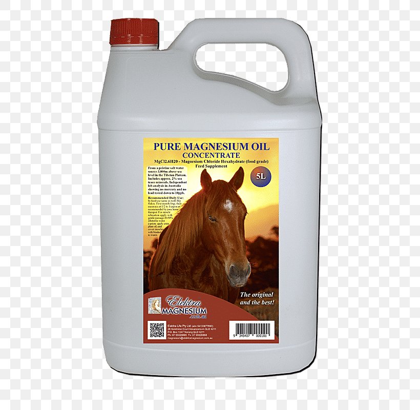 Horse Dietary Supplement Magnesium Oil Magnesium Chloride, PNG, 800x800px, Horse, Chloride, Concentrate, Dietary Supplement, Equine Nutrition Download Free