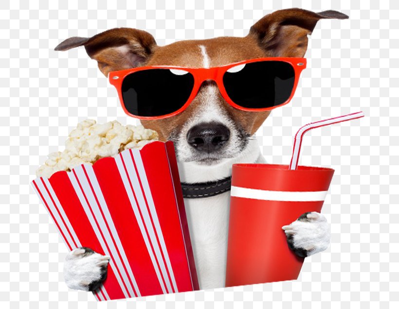 Jack Russell Terrier Shih Tzu West Highland White Terrier Puppy, PNG, 770x636px, Jack Russell Terrier, Canvas, Companion Dog, Dog, Dog Breed Download Free