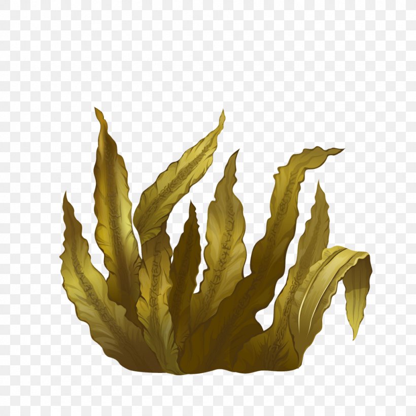 Kelp Seaweed Algae Deep-sea Tangles, PNG, 1024x1024px, Kelp, Algae, Brown Algae, Commodity, Giant Kelp Download Free