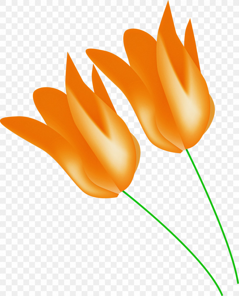 Orange, PNG, 2418x3000px, Orange, Flower, Pedicel, Petal, Plant Download Free