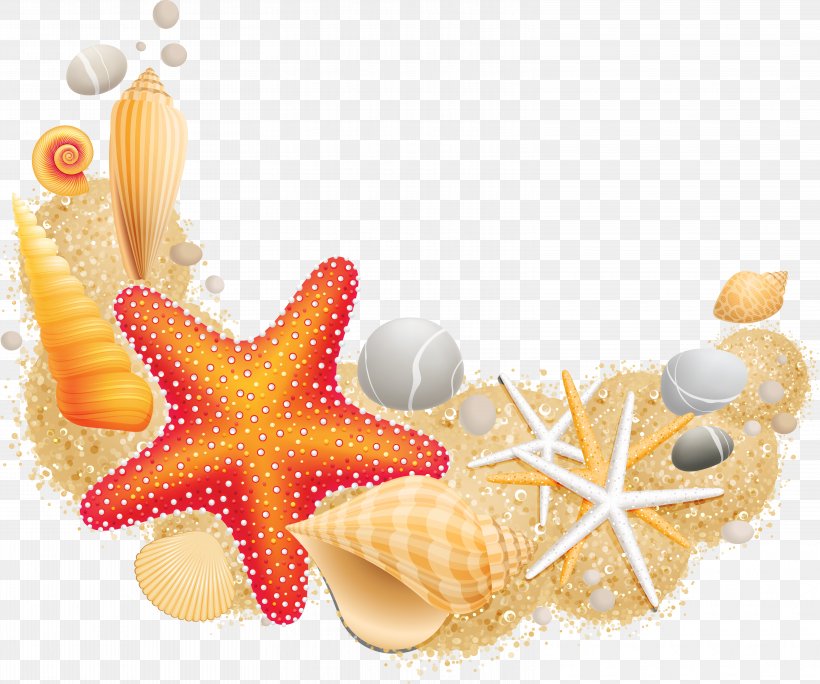 Sea Starfish Mollusc Shell Vecteur, PNG, 6257x5221px, Sea, Beach, Coast, Invertebrate, Laisse De Mer Download Free