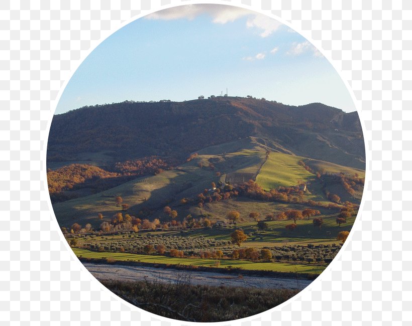 Azienda Agricola Maro Agriculture Organic Farming Business Saffron, PNG, 650x650px, Agriculture, Basilicata, Business, Fell, Hill Download Free