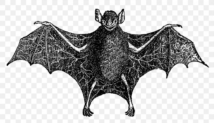 Bat Digital Image Clip Art, PNG, 1600x925px, Bat, Art, Black And White, Cattle Like Mammal, Digital Art Download Free