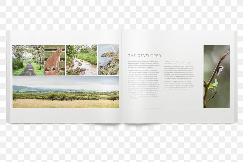 Brochure Graphic Design Advertising Page Layout, PNG, 1200x800px, Brochure, Advertising, Brand, Grass, Mahathunzi Hilton Entrance Download Free