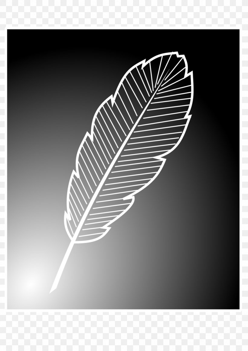 Feather Bird Black And White, PNG, 958x1355px, Feather, Bird, Black And White, Color, Leaf Download Free