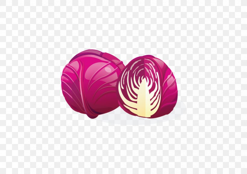 Red Cabbage Vegetable Clip Art, PNG, 842x596px, Cabbage, Chinese Cabbage, Magenta, Napa Cabbage, Pickling Download Free