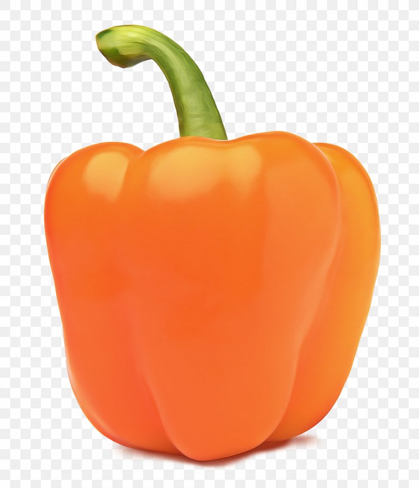 Winter Cartoon, PNG, 1000x1166px, Habanero, Bell Pepper, Calabaza, Capsicum, Chili Pepper Download Free