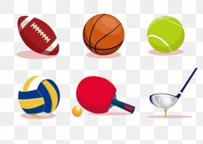 Sports Equipment Vector - Ball Game Sport Euclidean Vector PNG
