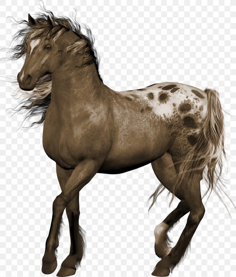 Horse Clip Art, PNG, 1023x1200px, Horse, Child, Colt, Drawing, Foal Download Free