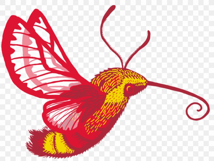 Hummingbird Hawk-moth Insect Hawk Moths, PNG, 900x678px, Hummingbird, Archilochus, Beak, Bird, Borboleta Download Free