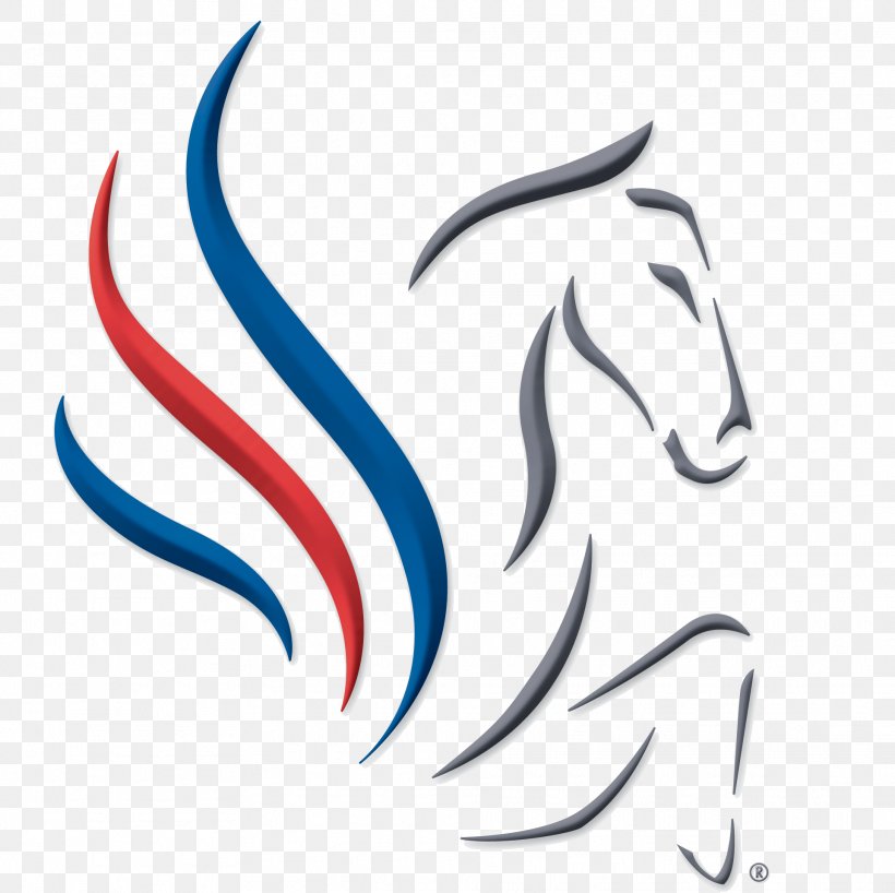 United States Equestrian Federation Horse United States Equestrian Federation Non-profit Organisation, PNG, 1923x1920px, United States, Equestrian, Equitation, Fictional Character, Funding Download Free