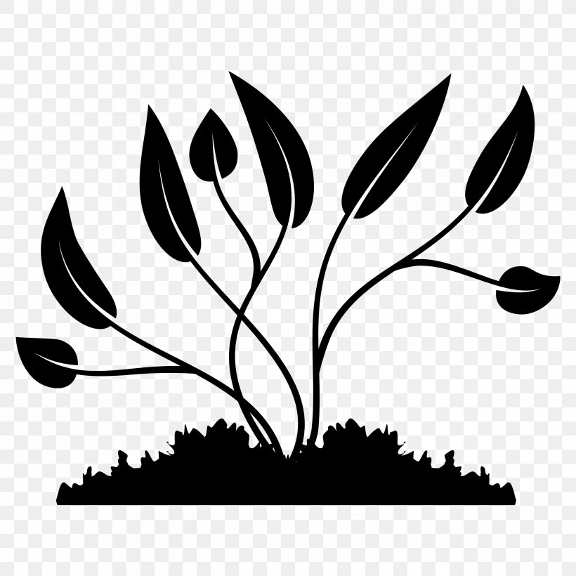 Clip Art Plants Image, PNG, 2400x2400px, Plants, Art, Black, Blackandwhite, Botany Download Free