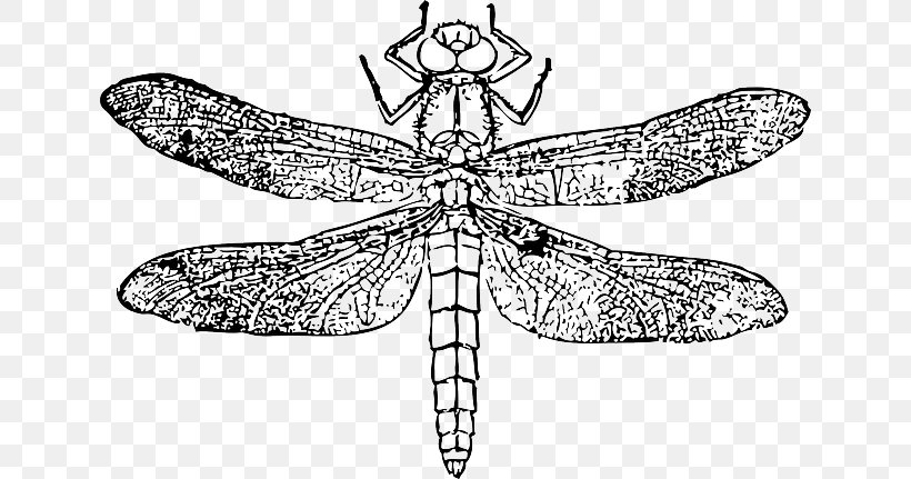Les Insectes Dragonfly Clip Art, PNG, 640x431px, Insect, Animal, Arthropod, Artwork, Black And White Download Free