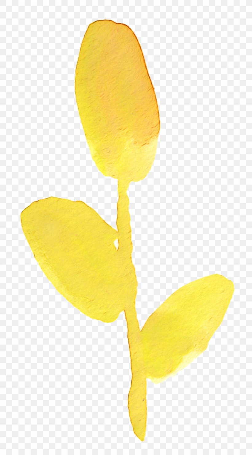 Petal Yellow Flowering Plant Plants, PNG, 1014x1830px, Petal, Flower, Flowering Plant, Leaf, Plant Download Free