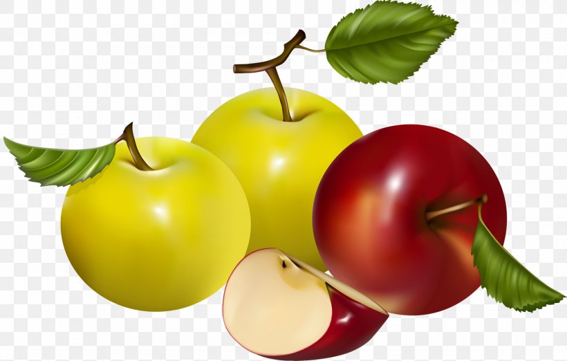 Royalty-free Photography Apple, PNG, 1500x956px, Royaltyfree, Accessory Fruit, Apple, Auglis, Cherry Download Free