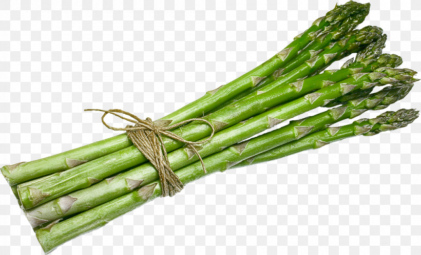 Vegetable Asparagus Plant Food Asparagus, PNG, 1000x608px, Vegetable, Asparagus, Food, Plant, Plant Stem Download Free