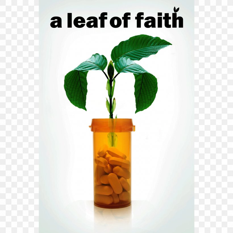 Documentary Film YouTube Film Director Leaf, PNG, 1080x1080px, Documentary Film, Film, Film Director, Flowerpot, Glass Bottle Download Free