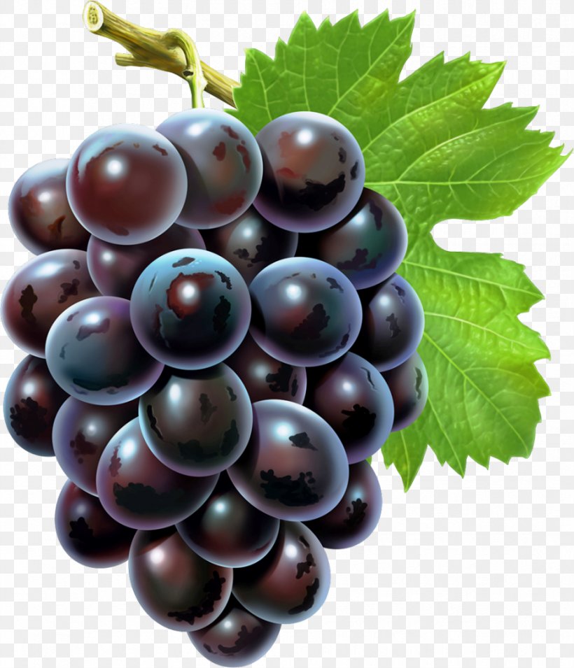 Grape Seed Extract Android Grape Seed Oil, PNG, 927x1080px, Grape Seed Extract, Amazon Grape, Android, Auglis, Berry Download Free