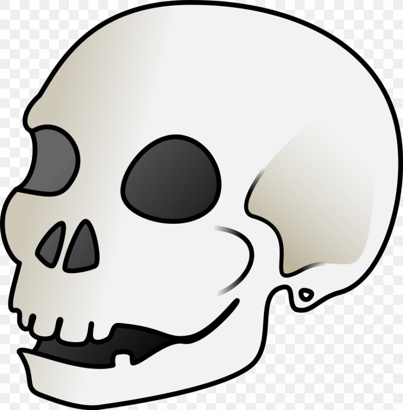 Human Skull Symbolism Skull Art Clip Art, PNG, 884x900px, Skull, Animation, Bone, Cheek, Drawing Download Free