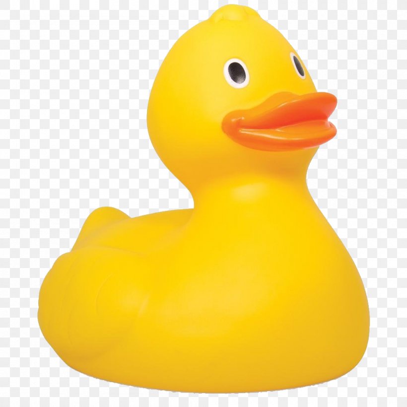 Rubber Duck Portable Network Graphics Clip Art Image, PNG, 1000x1000px, Duck, Beak, Bird, Ducks Geese And Swans, Faststone Image Viewer Download Free