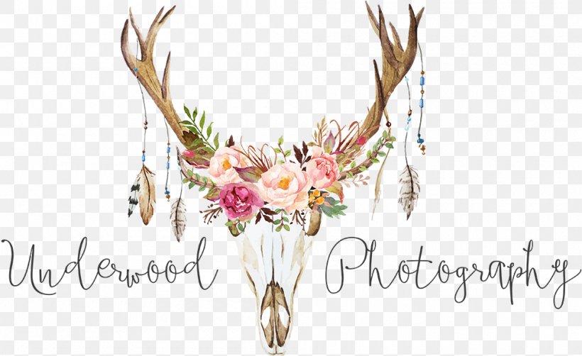 Stock Photography Antler, PNG, 1000x613px, Photography, Antler, Art, Branch, Child Download Free