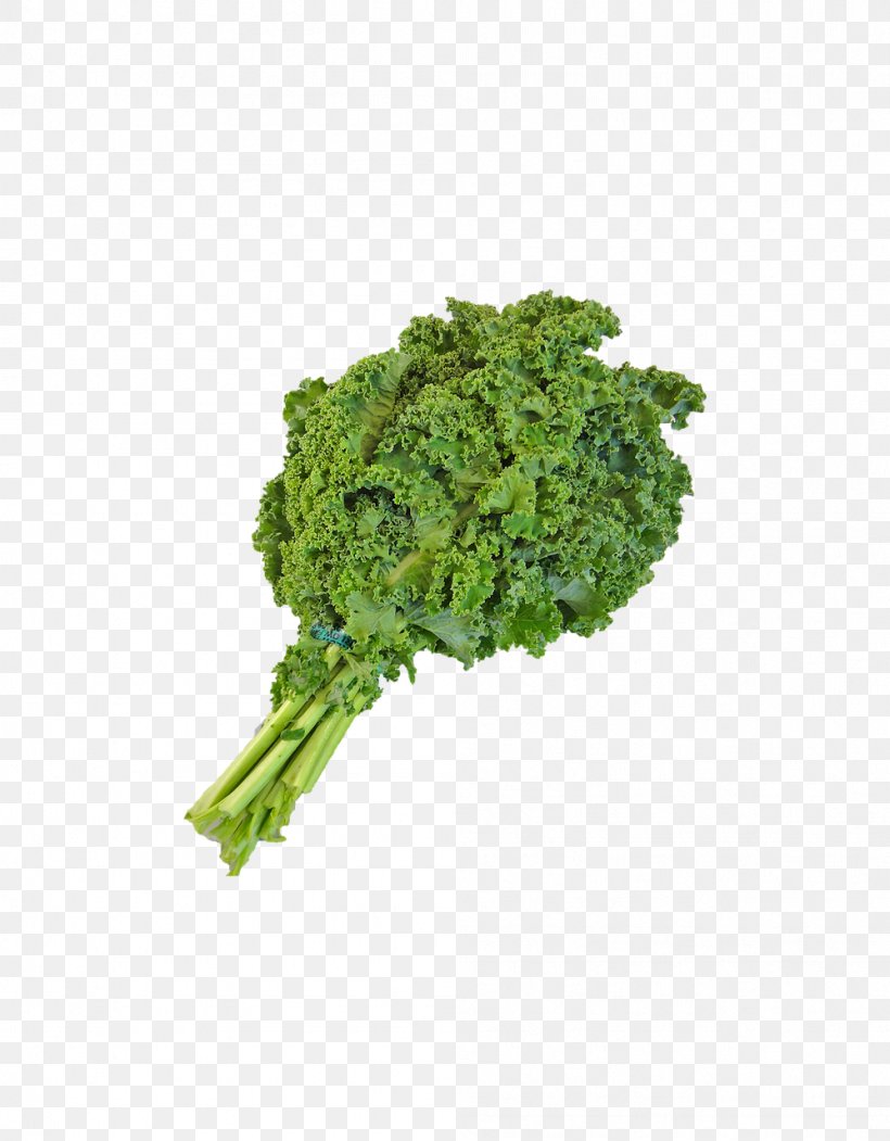 Smoothie Milkshake Juice Curly Kale Vegetable, PNG, 998x1280px, Smoothie, Black Mustard Seed, Broccoli, Chinese Broccoli, Collard Greens Download Free