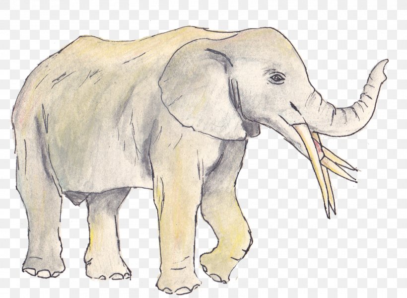 African Elephant Indian Elephant Animal Tusk, PNG, 1600x1172px, African Elephant, Animal, Animal Figure, Asian Elephant, Carnivora Download Free