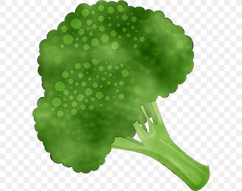 Broccoli Clip Art Cauliflower Vegetable, PNG, 602x647px, Broccoli, Animation, Broccoflower, Broccoli Slaw, Brussels Sprouts Download Free